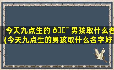 今天九点生的 🐯 男孩取什么名(今天九点生的男孩取什么名字好听 🐎 )